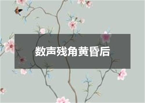 数声残角黄昏后