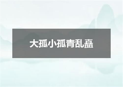 大孤小孤青乱矗