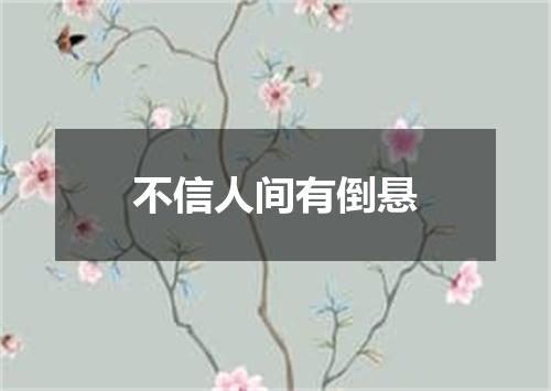 不信人间有倒悬
