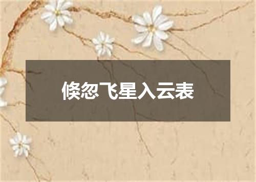 倏忽飞星入云表