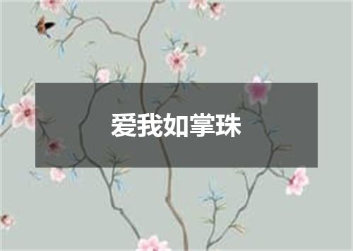 爱我如掌珠