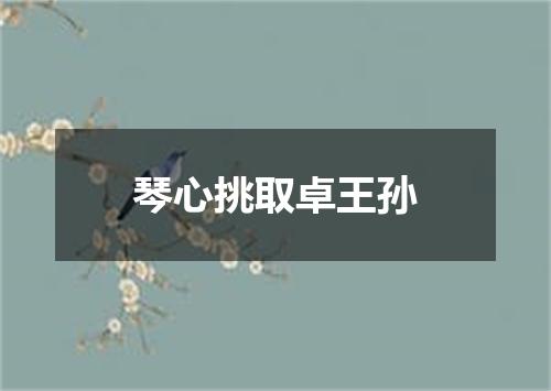 琴心挑取卓王孙