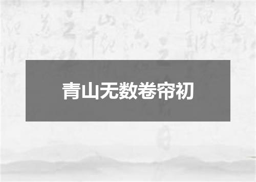 青山无数卷帘初