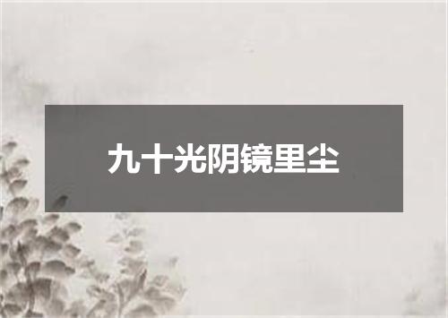 九十光阴镜里尘