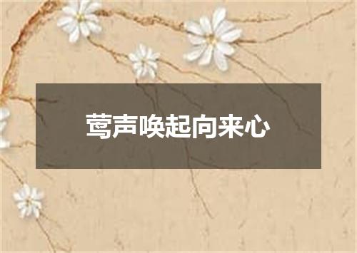 莺声唤起向来心