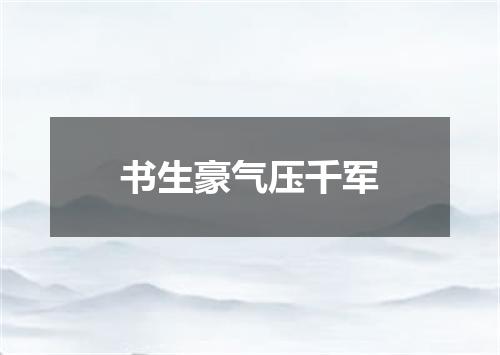 书生豪气压千军