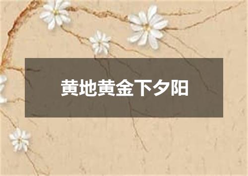 黄地黄金下夕阳