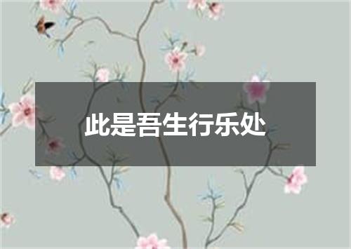 此是吾生行乐处