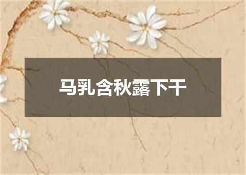 马乳含秋露下干