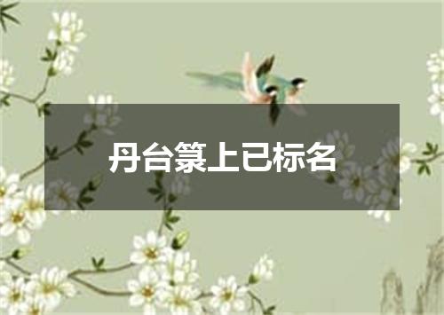 丹台箓上已标名