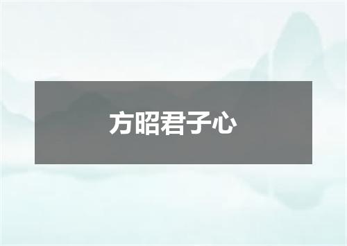 方昭君子心