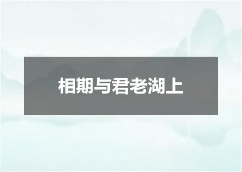 相期与君老湖上