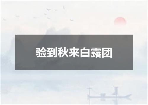 验到秋来白露团