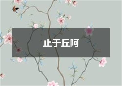 止于丘阿