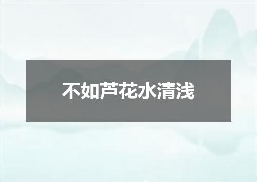 不如芦花水清浅