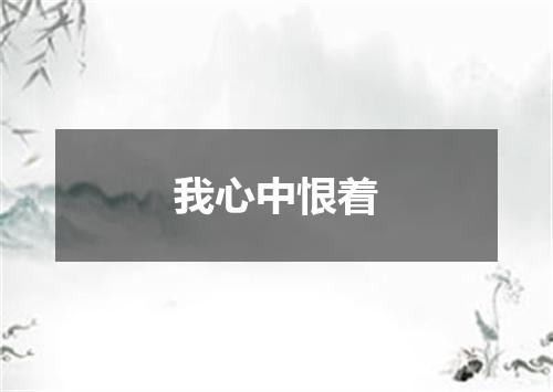 我心中恨着