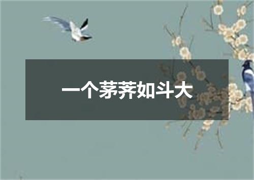 一个茅荠如斗大