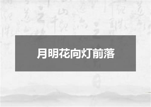 月明花向灯前落
