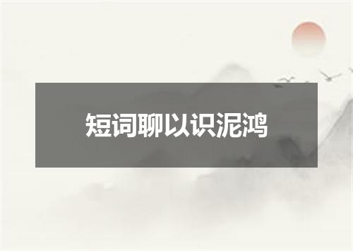 短词聊以识泥鸿