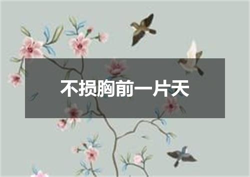 不损胸前一片天