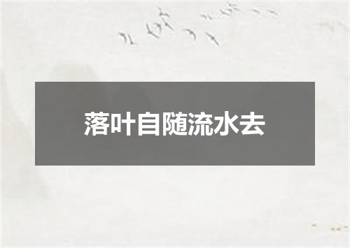 落叶自随流水去
