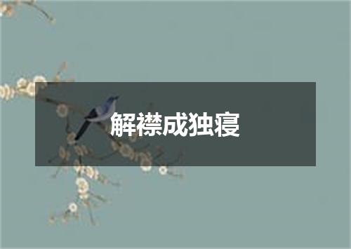 解襟成独寝