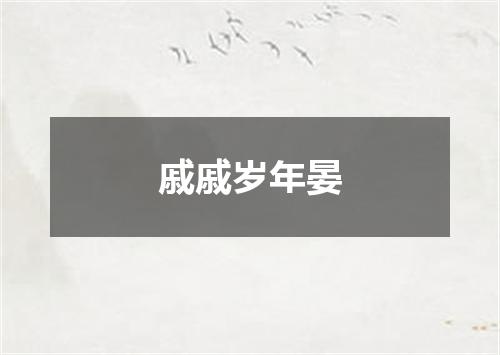 戚戚岁年晏