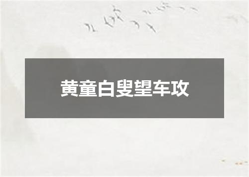 黄童白叟望车攻