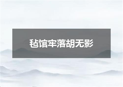 毡馆牢落胡无影
