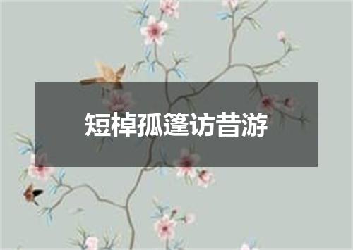 短棹孤篷访昔游