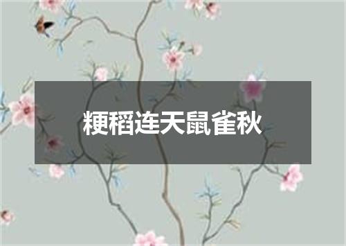粳稻连天鼠雀秋