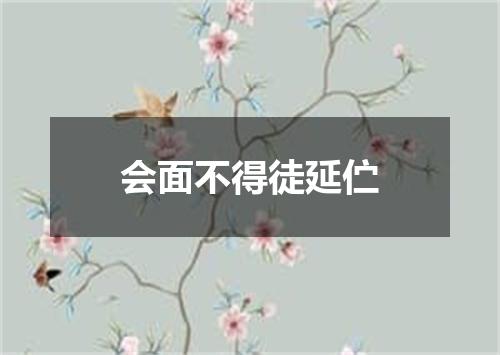 会面不得徒延伫