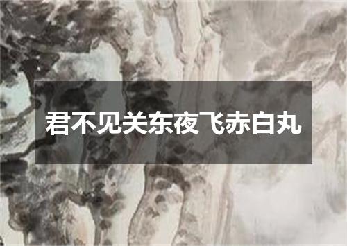 君不见关东夜飞赤白丸