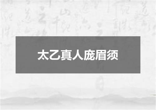 太乙真人庞眉须