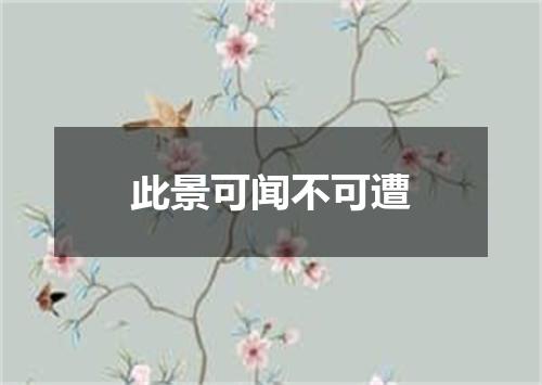 此景可闻不可遭