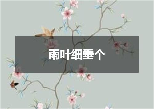 雨叶细垂个