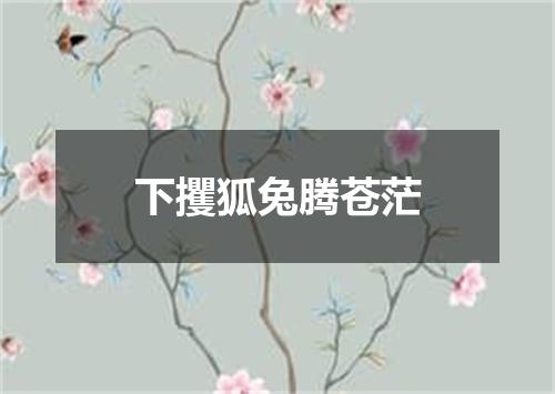 下攫狐兔腾苍茫