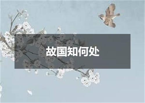 故国知何处