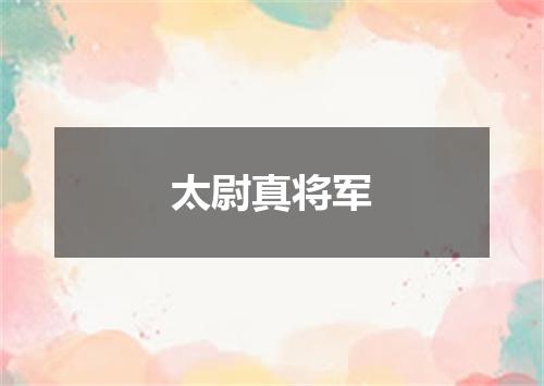 太尉真将军