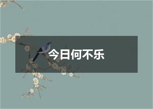 今日何不乐