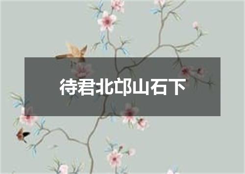 待君北邙山石下