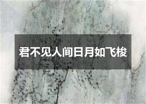 君不见人间日月如飞梭