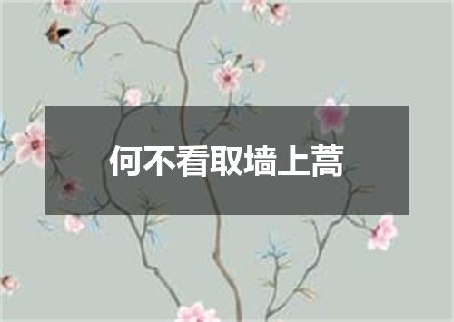 何不看取墙上蒿