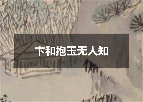 卞和抱玉无人知