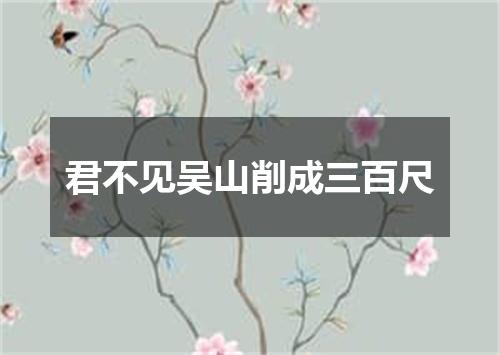 君不见吴山削成三百尺
