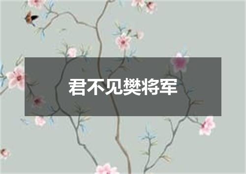 君不见樊将军