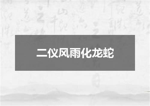 二仪风雨化龙蛇