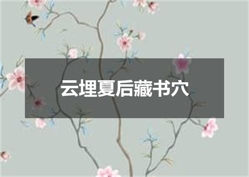 云埋夏后藏书穴