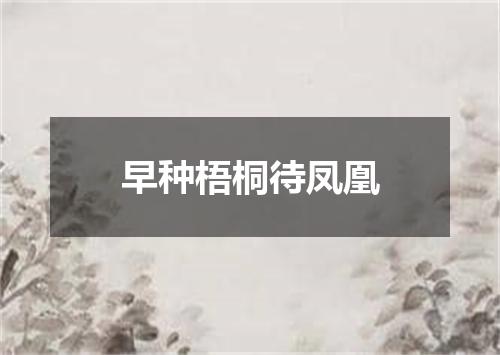 早种梧桐待凤凰