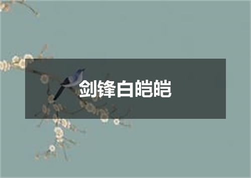 剑锋白皑皑